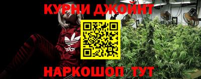apvp Гусев
