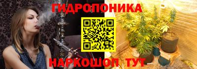 apvp Гусев