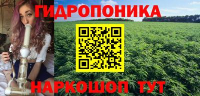 apvp Гусев