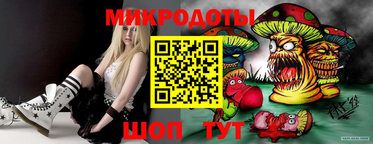 Псилоцибиновые грибы мухоморы Майкоп