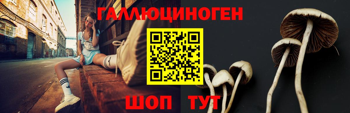 Галлюциногенные грибы Psilocybine cubensis  Вход с VPN  Майкоп 